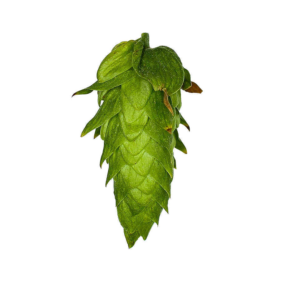 Cascade