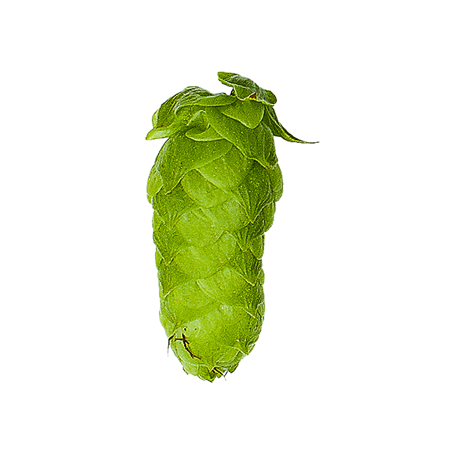 Mandarina Bavaria