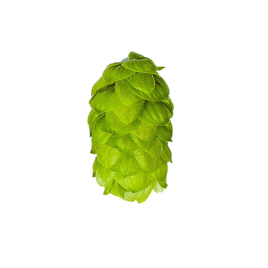Styrian Celeia