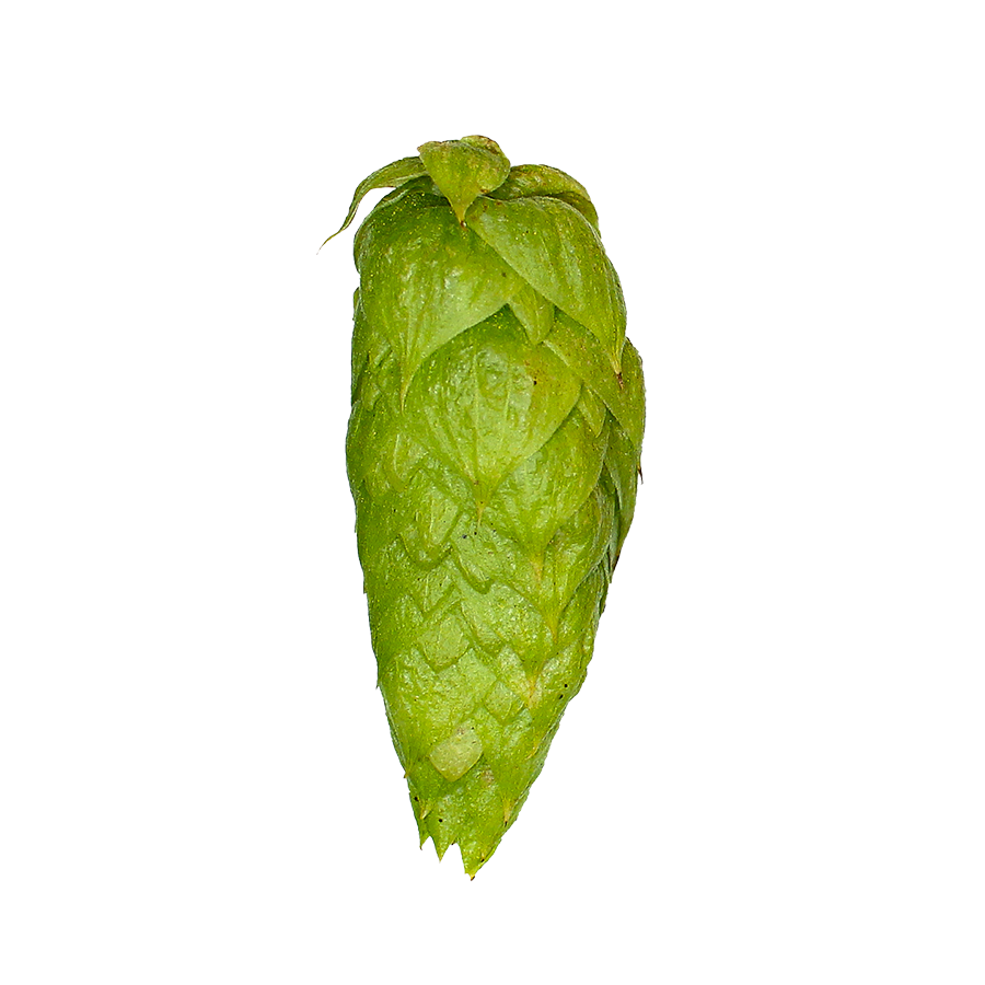 Sultana